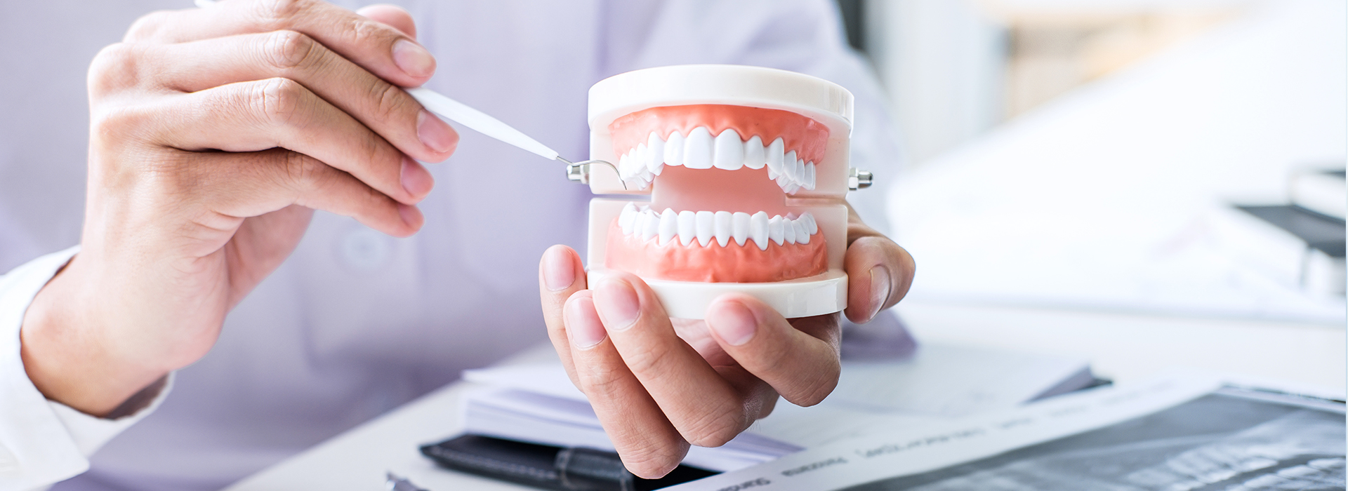 Park Street Dental Associates | Preventative Program, Teeth Whitening and Extractions